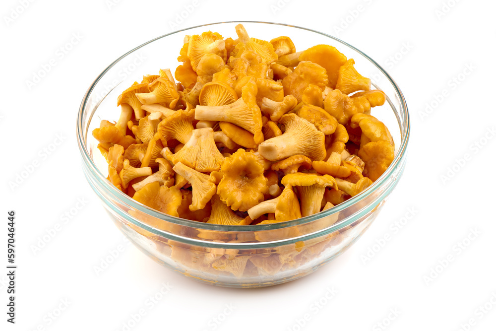 Raw fresh chanterelles mushrooms, isolated on white background. Raw fresh chanterelles mushrooms, isolated on white background.