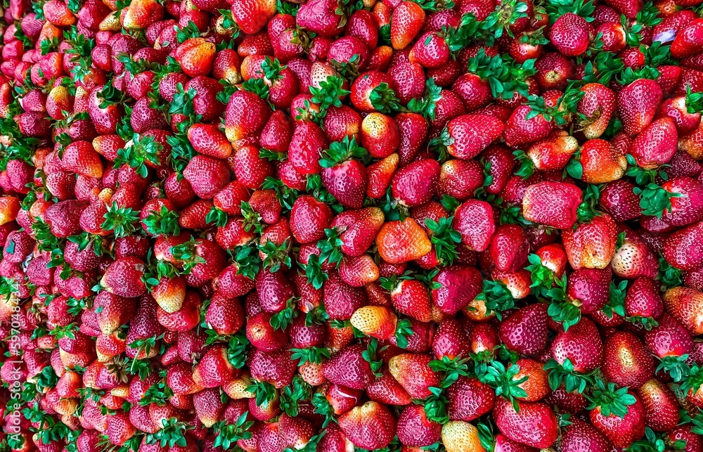 Whole strawberry and sliced half strawberry. Set of fresh red ripe mellow berry Whole strawberry and sliced half strawberry. Set of fresh red ripe mellow berry