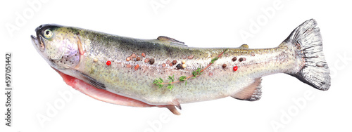 Trout fish on white background isolated