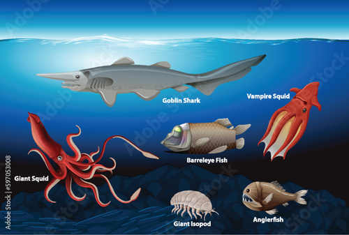 Deep Sea Creatures Collection