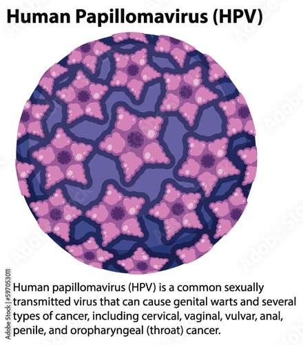 Human Papillomavirus with explanation