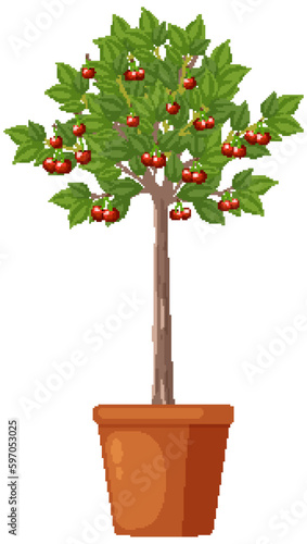 Cherry tree in a pot vector