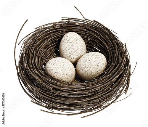 Three bird eggs inside bird's nest on transparent background. 3D illustration
