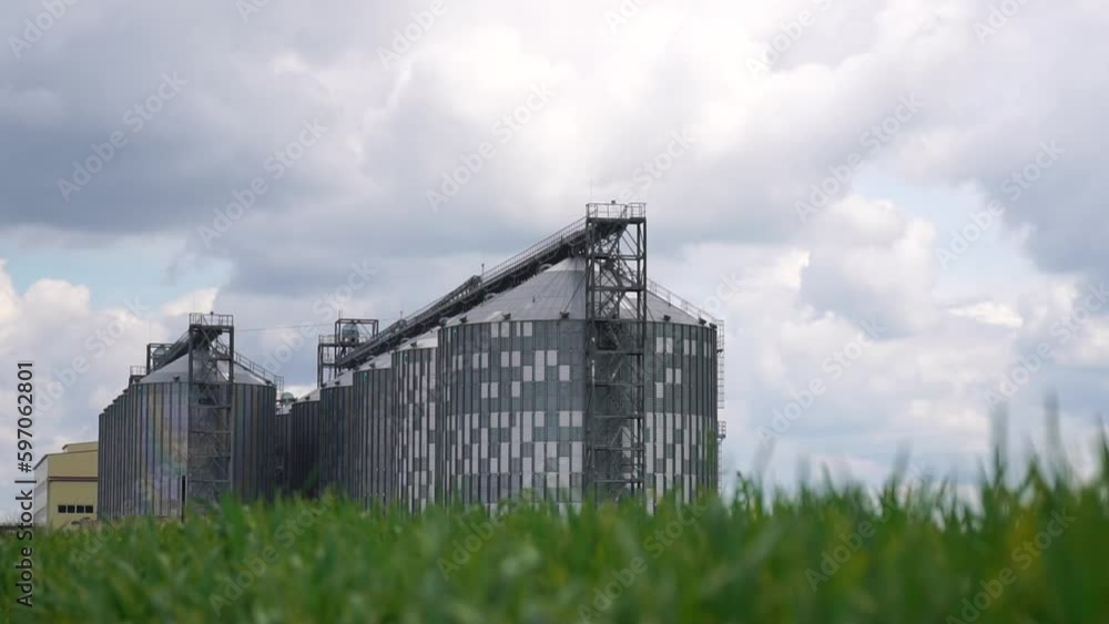 Large metal silos, modern grain elevator with a cleaning line and plant for processing, drying, cleaning and storing agricultural products and grain in a green wheat field. Large metal silos, modern grain elevator with a cleaning line and plant for processing, drying, cleaning and storing agricultural products and grain in a green wheat field.
