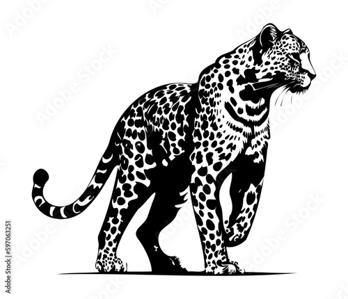 Leopard, Silhouettes Leopard Face SVG, black and white Leopard vector	
