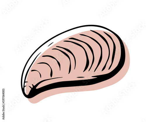 Shell with an outline in a trendy minimal style. Vector illustration of a mussel for tattoo, design social media post and stories.