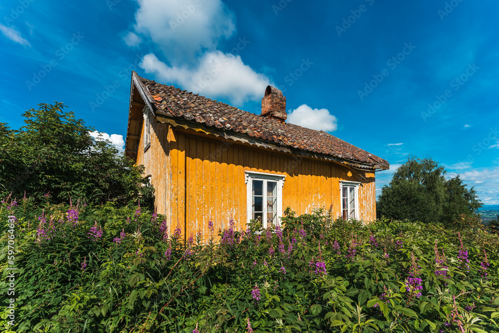 an abandoned, ocher yellow house in the willow-herb blossoming