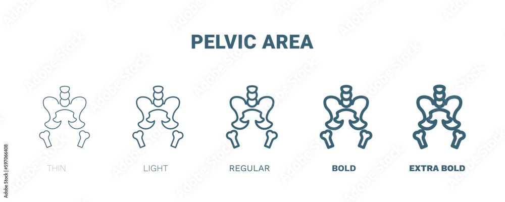 pelvic area icon. Thin, light, regular, bold, black pelvic area icon set from medical and healthcare collection. Editable pelvic area symbol can be used web and mobile