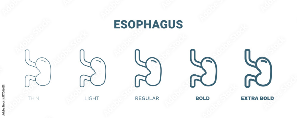 esophagus icon. Thin, light, regular, bold, black esophagus icon set from medical and healthcare collection. Editable esophagus symbol can be used web and mobile esophagus icon. Thin, light, regular, bold, black esophagus icon set from medical and healthcare collection. Editable esophagus symbol can be used web and mobile