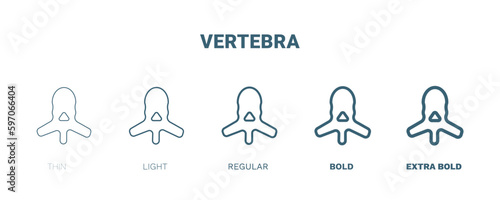 vertebra icon. Thin, light, regular, bold, black vertebra icon set from medical and healthcare collection. Editable vertebra symbol can be used web and mobile