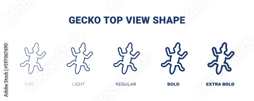 gecko top view shape icon. Thin, light, regular, bold, black gecko top view shape icon set from culture and civilization collection. Editable gecko top view shape symbol can be used web and mobile