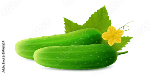 Realistic Detailed 3d Green Raw Whole Cucumbers. Flower and Leaves, Element for Salad Recipe, Market. Vector illustration