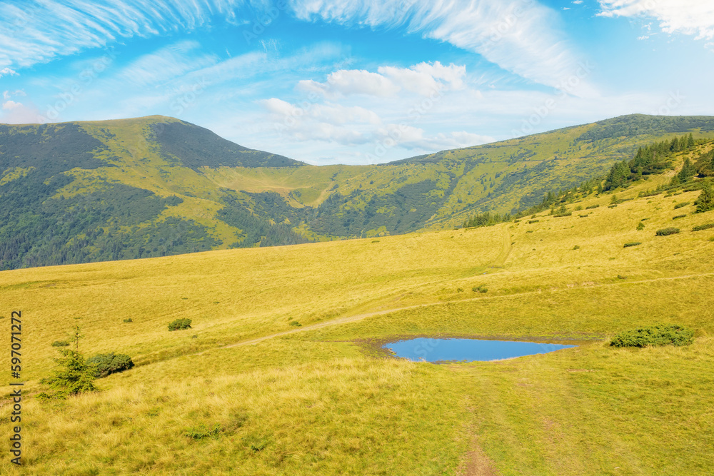 pond on the hill in morning light. wonderful nature scenery with grassy meadows in carpathian mountains