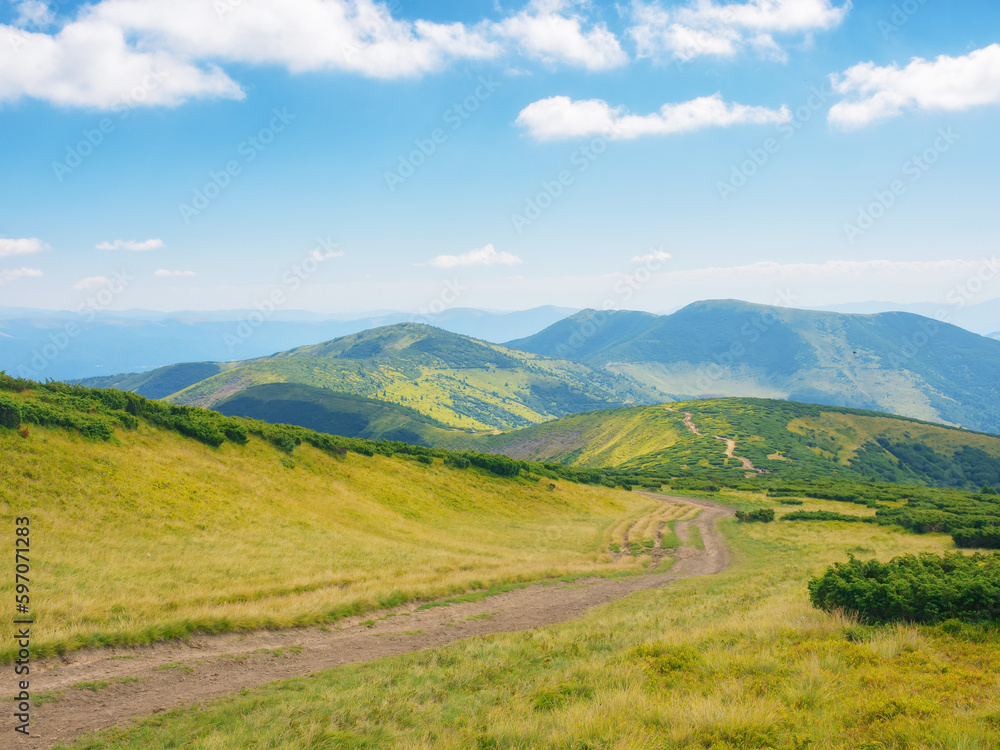 alpine travel destination of carpathian mountains. hillside of petros mountain in summer. beauty of ukrainian landscape