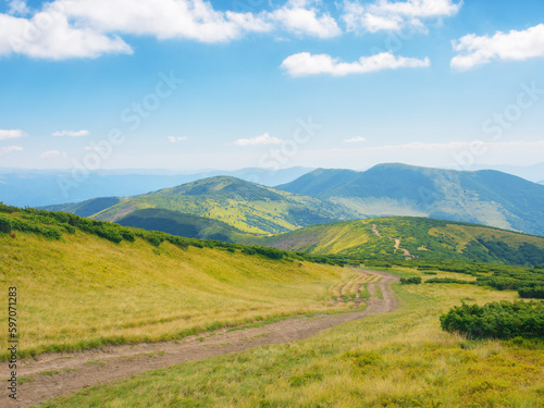alpine travel destination of carpathian mountains. hillside of petros mountain in summer. beauty of ukrainian landscape