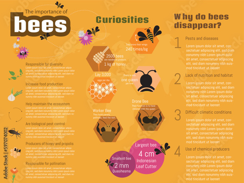 Infographic about the importance of bees, curiosities about them and why they are disappearing, with their corresponding icons on an orange background.