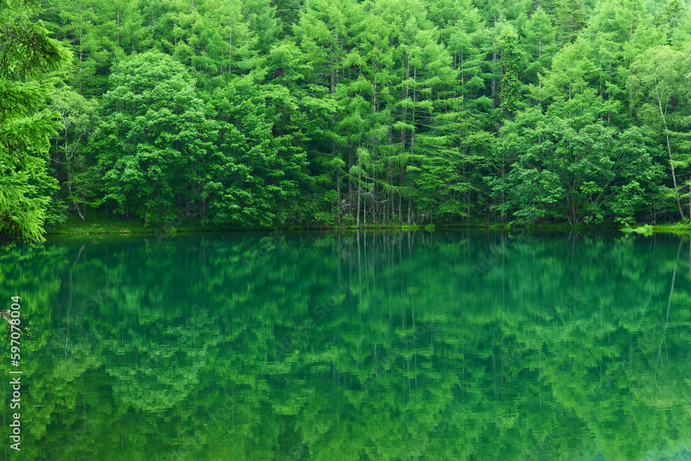 御射鹿池。茅野、長野、日本。7月中旬。