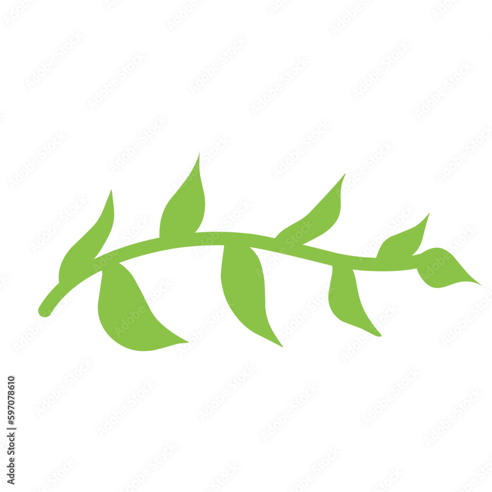 Hand Drawn Leaf Hand Drawn Leaf