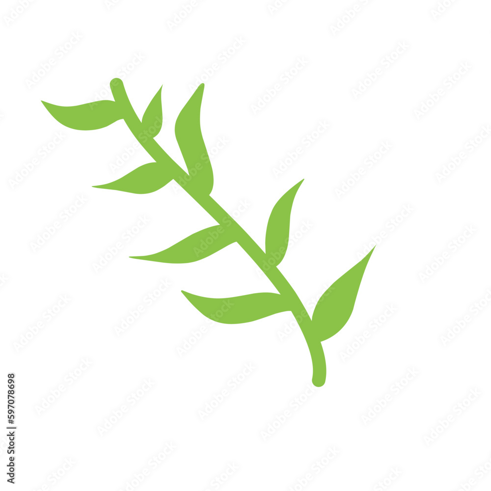 Hand Drawn Leaf Hand Drawn Leaf