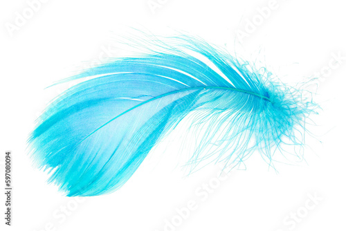 Light fluffy blue feather isolated on white background.