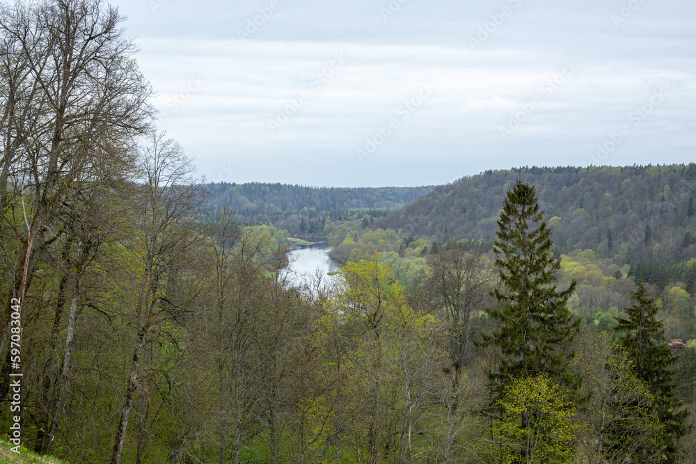 Gauja valley in spring with fresh first leaves in the end of April in Sigulda in Latvia