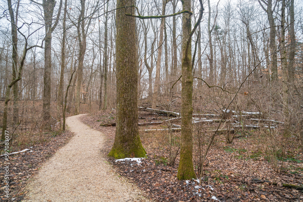 Trail Through the Woods at Abraham Lincoln Birthplace National Historical Park