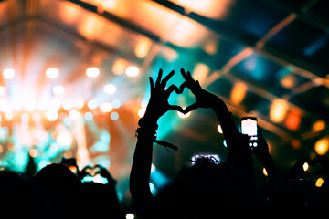 crowd at concert - summer music festival
