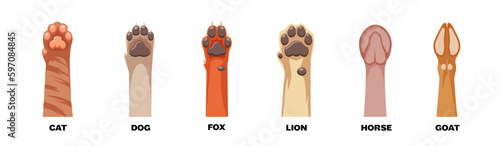 Animal paws icons set. Cartoon style.