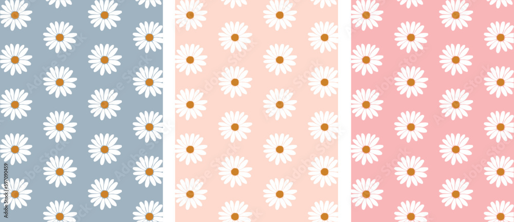 Set of daisy flower seamless pattern on pastel background with blank mockup copy space. Flat lay, top view brand, blog, website, social media template Set of daisy flower seamless pattern on pastel background with blank mockup copy space. Flat lay, top view brand, blog, website, social media template