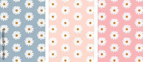 Set of daisy flower seamless pattern on pastel background with blank mockup copy space. Flat lay, top view brand, blog, website, social media template	