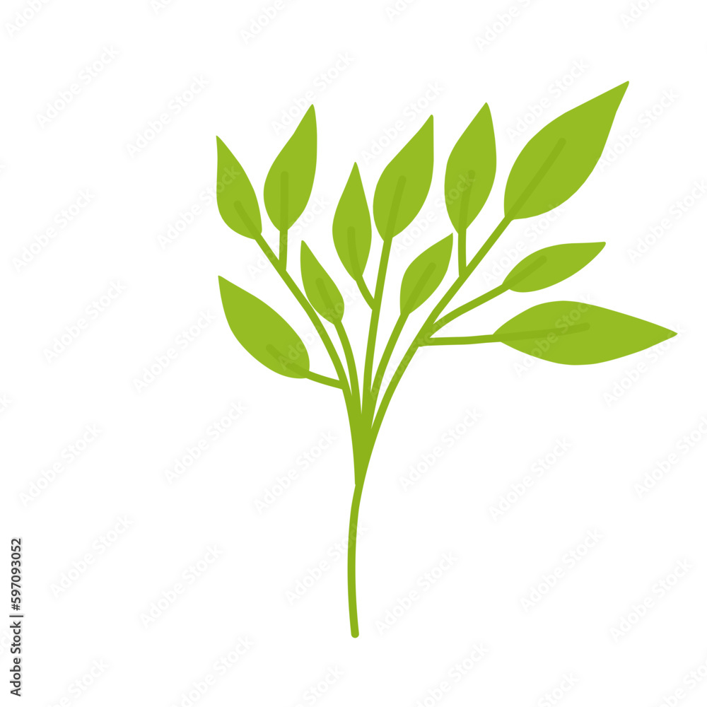 Fototapeta premium Flowers Plant