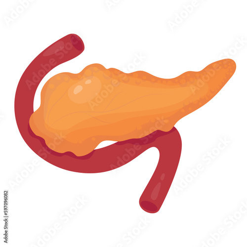 Pancreass. Human organ. Vector illustration in flat cartoon style. Anatomy concept.