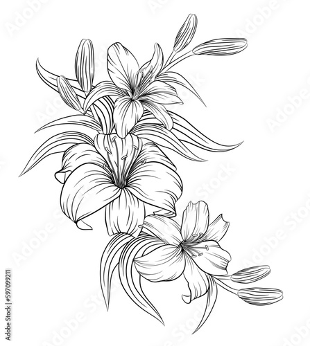 Beautiful monochrome black and white lily bouquet isolated on background. Hand drawing. Design for greeting card and invitation for wedding, birthday, Valentine's Day, Mother's Day and other holidays.