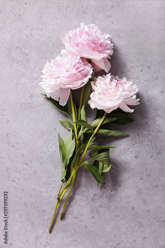 Fototapeta Naklejka Na Ścianę i Meble -  Delicate white-pink peonies