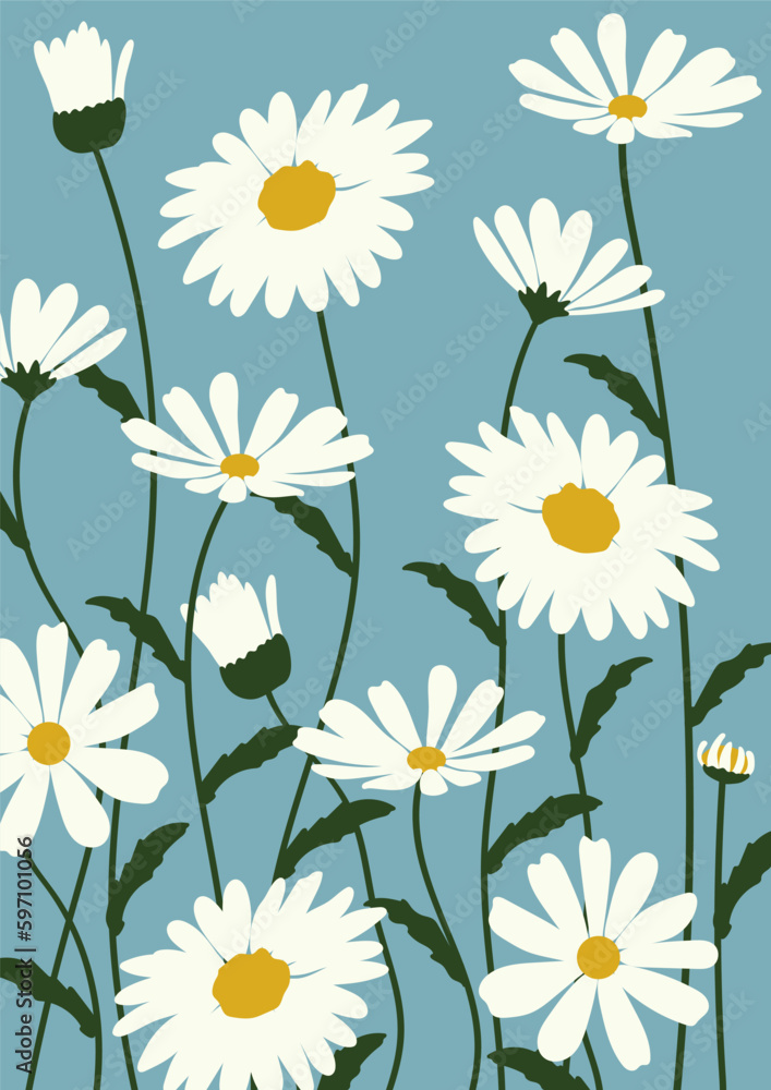 Fototapeta premium Daisy flower background.Eps 10 vector.