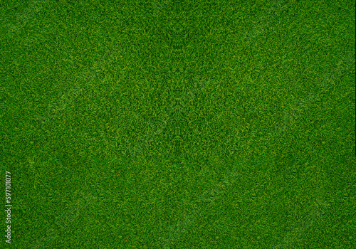 Green grass texture background grass garden concept used for making green background football pitch, Grass Golf, green lawn pattern textured background....