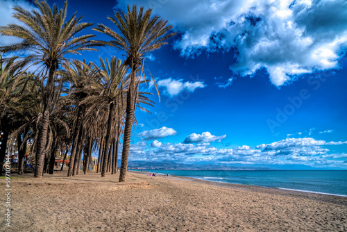 Torremolinos beach and palm trees Costa del Sol Spain Playa del Bajondillo Andalusia photo