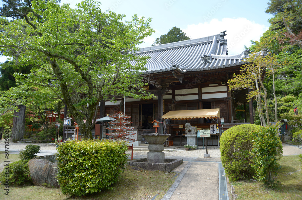 新緑の海住山寺　本堂　京都府木津川市加茂町