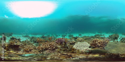 Sea coral reef. Underwater Tropical Sea Seascape. Tropical fish reef marine. Philippines. Virtual Reality 360. © Alex Traveler