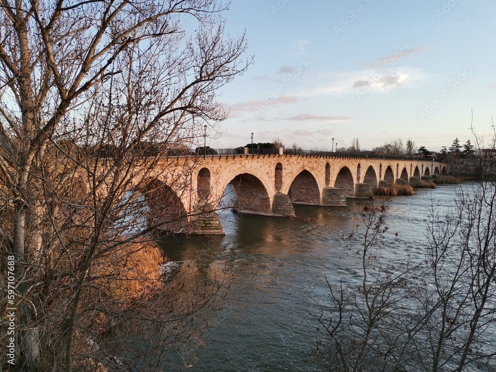 Fototapeta premium bridge over the river