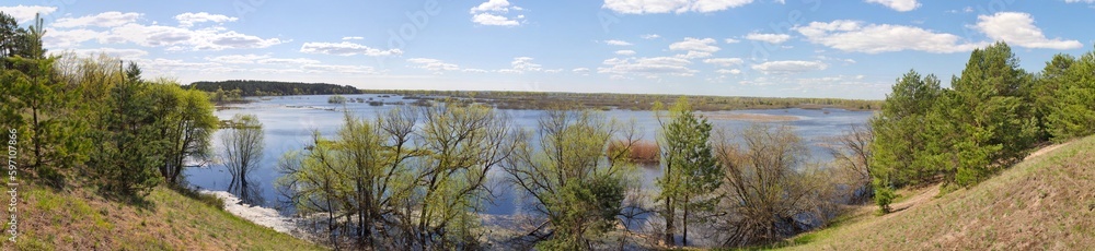 panorama spring flood fields flooded with water trees with young greenery on a hillock