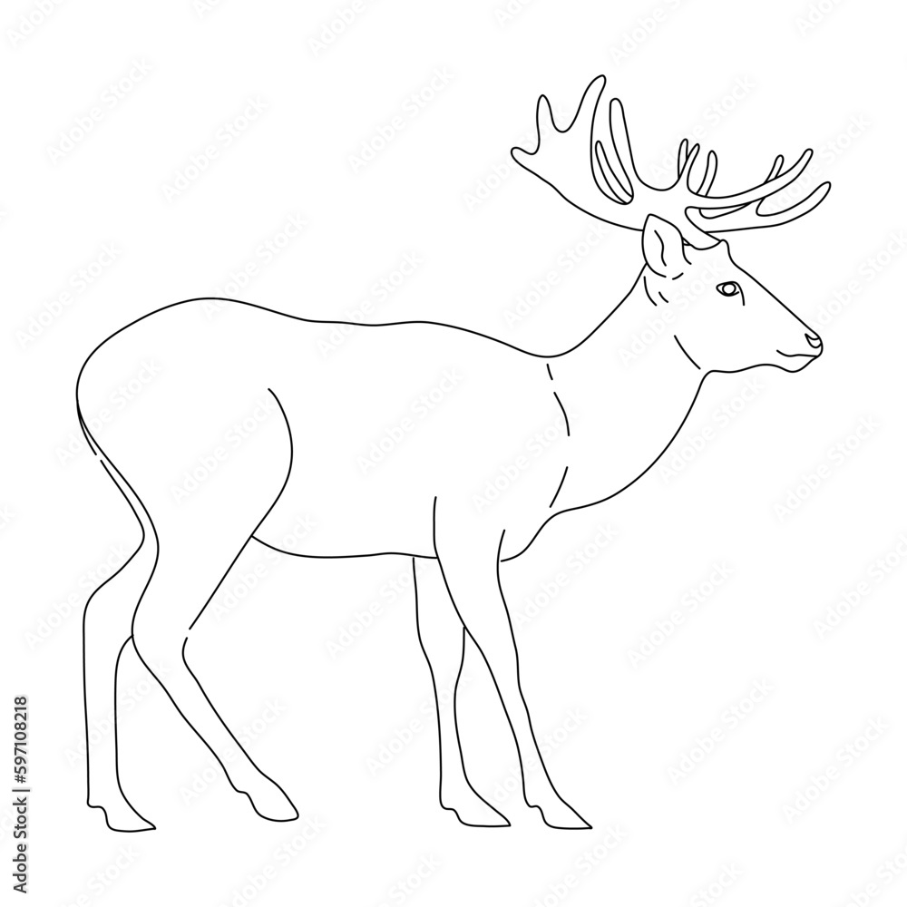 Sketch of Deer drawn by hand. Vector hand drawn illustration.