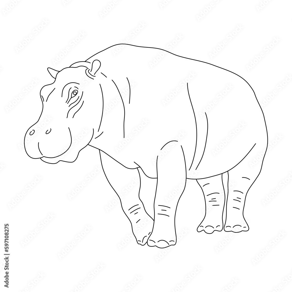 Doodle of Hippopotamus. Hand drawn vector illustration.