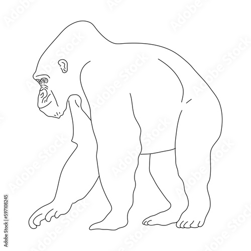 Doodle of Gorilla. Hand drawn vector illustration.