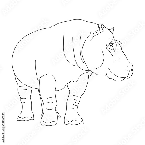 Sketch of Hippopotamus drawn by hand. Vector hand drawn illustration.