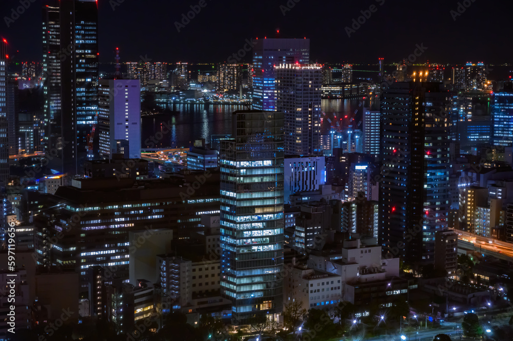 東京タワーからの眺め、夜景