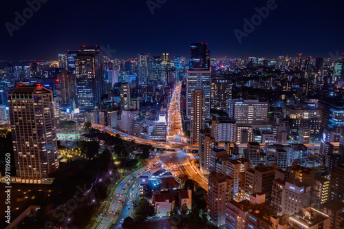 東京タワーからの眺め、夜景