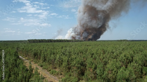 Drone view of a forest fire with a fire road type access