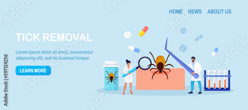 Prevention of Lyme, Encephalitis Diseases. Removing Encephalitis Ticks. Parasite Carrying Disease. First Aid with Infections Transmitted by Mites. Tick grabbed into skin, it is removed with tweezers