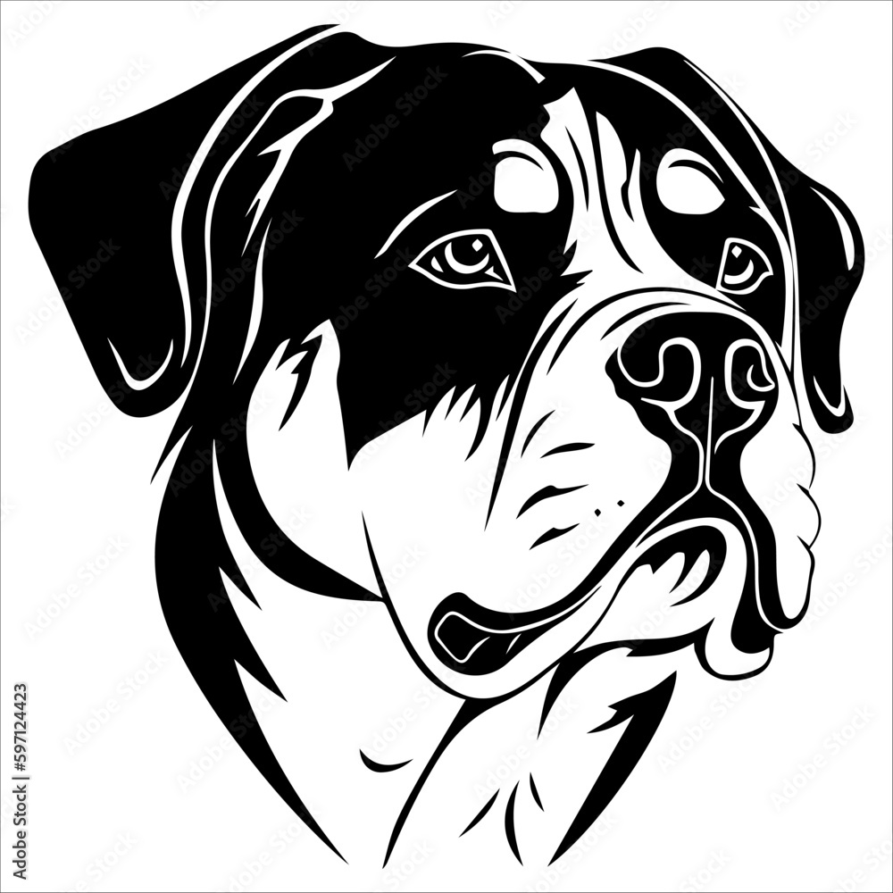 Fototapeta premium Rottweiler in vector style, isolated on white.